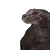 SR_EternalSuffering SR_EternalSuffering