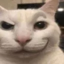 cat_2_smug cat_2_smug