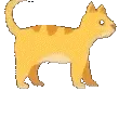 kittydance