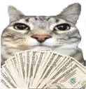 moneyspread moneyspread