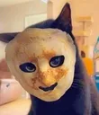 8Pancat