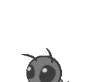 BeeLurk