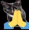 PrayCat