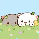 peachcat