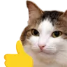 thumbsupcat