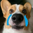 sosad