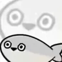 fish01