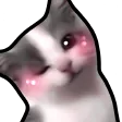 KittyWink
