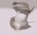 lizardvibe