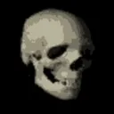 3dSkull