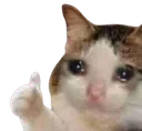 CatSadYes