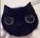 peepoo