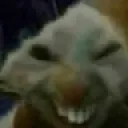 xbx
