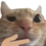 ThinkingCat