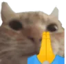 PrayCat