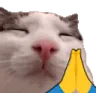praygePlink