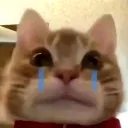 imgonnacry Discord Emoji