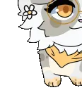honeychipi honeychipi