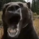 rawr