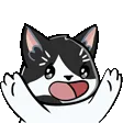 allypa1Clap