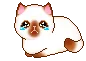 sadbb sadbb
