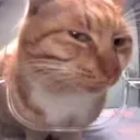 side_EYE