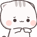 PRXkittyshy2 Discord Emoji