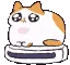 catroomba