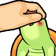 TurtlePets