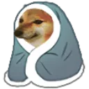 Cold Doge Discord Emoji