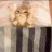 cattoBEDGE cattoBEDGE
