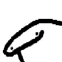 flork_peek