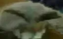 xddxxd