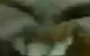 xddx