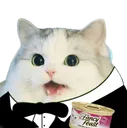 :fancyfeast: