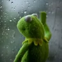 sadkermit