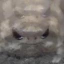 outofbody