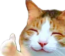 catHappyThumbsUp