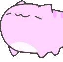 pinknod