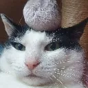 crushing_realisation_of_existenc
