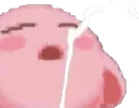 kirby_nut Discord Emoji