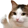 ThumbsUpCat