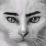GatoPro