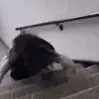 stairsFall