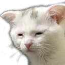 sleepy Discord emoji