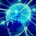 brain