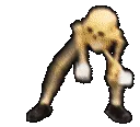 partyskeleton partyskeleton
