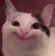 9059happycat