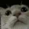 :p_amsyConfused: