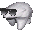 sunglassbear Discord emoji